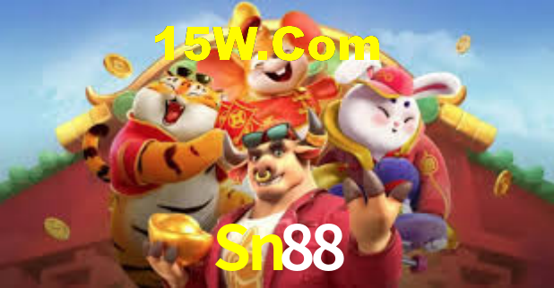Sn88 - Installation Guide