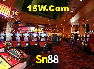 Sn88 - User Statistics