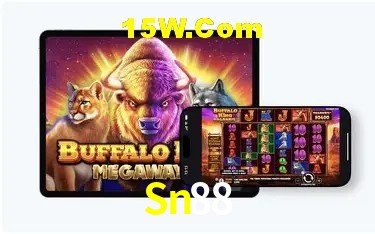 Sn88 Salvador - Statistics